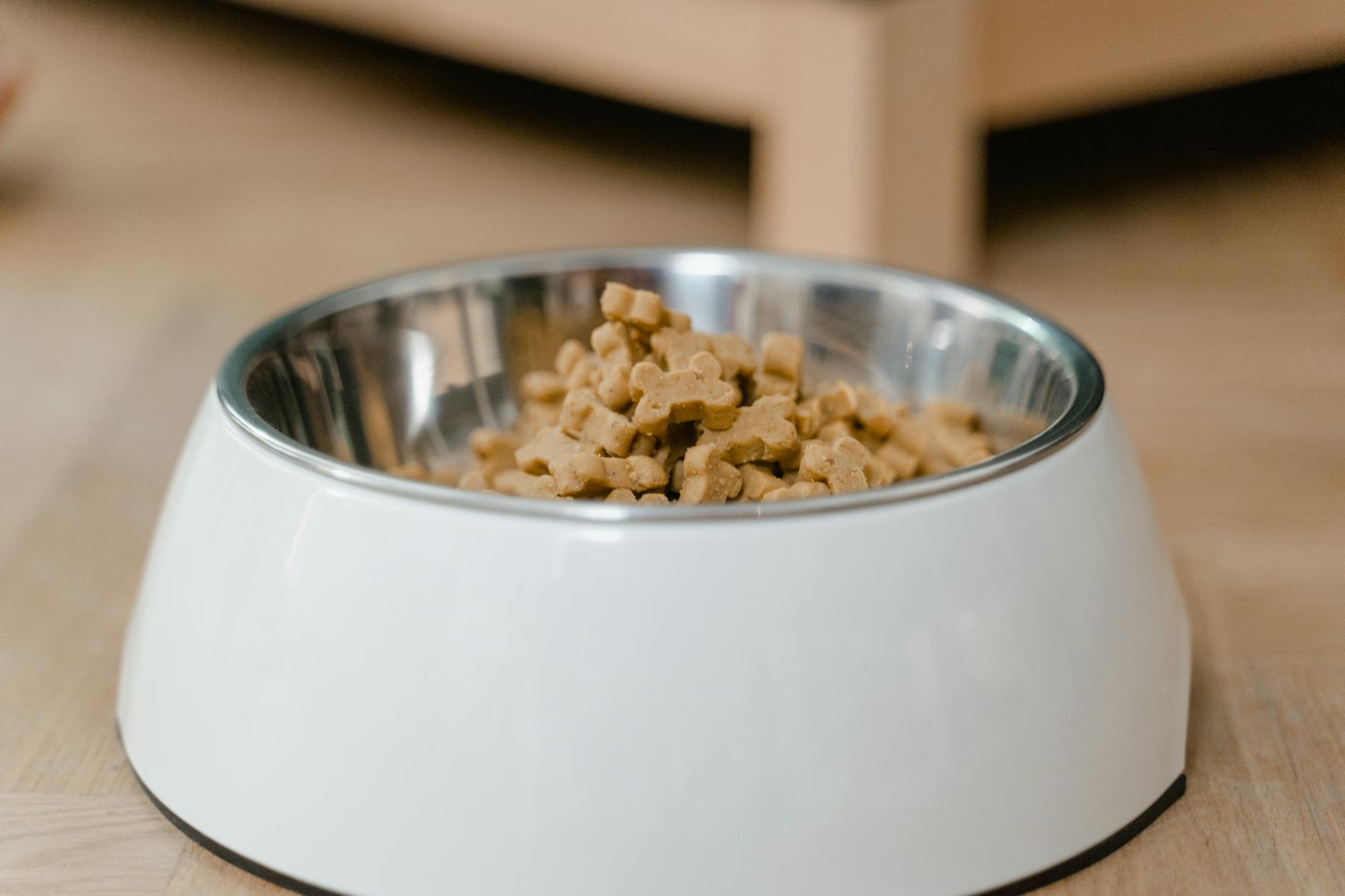 dog Here are a few options, focusing on key elements:
* **Dog health, balanced diet**
* **Vital vitamins and minerals**
* **Healthy dog needs nourishment**