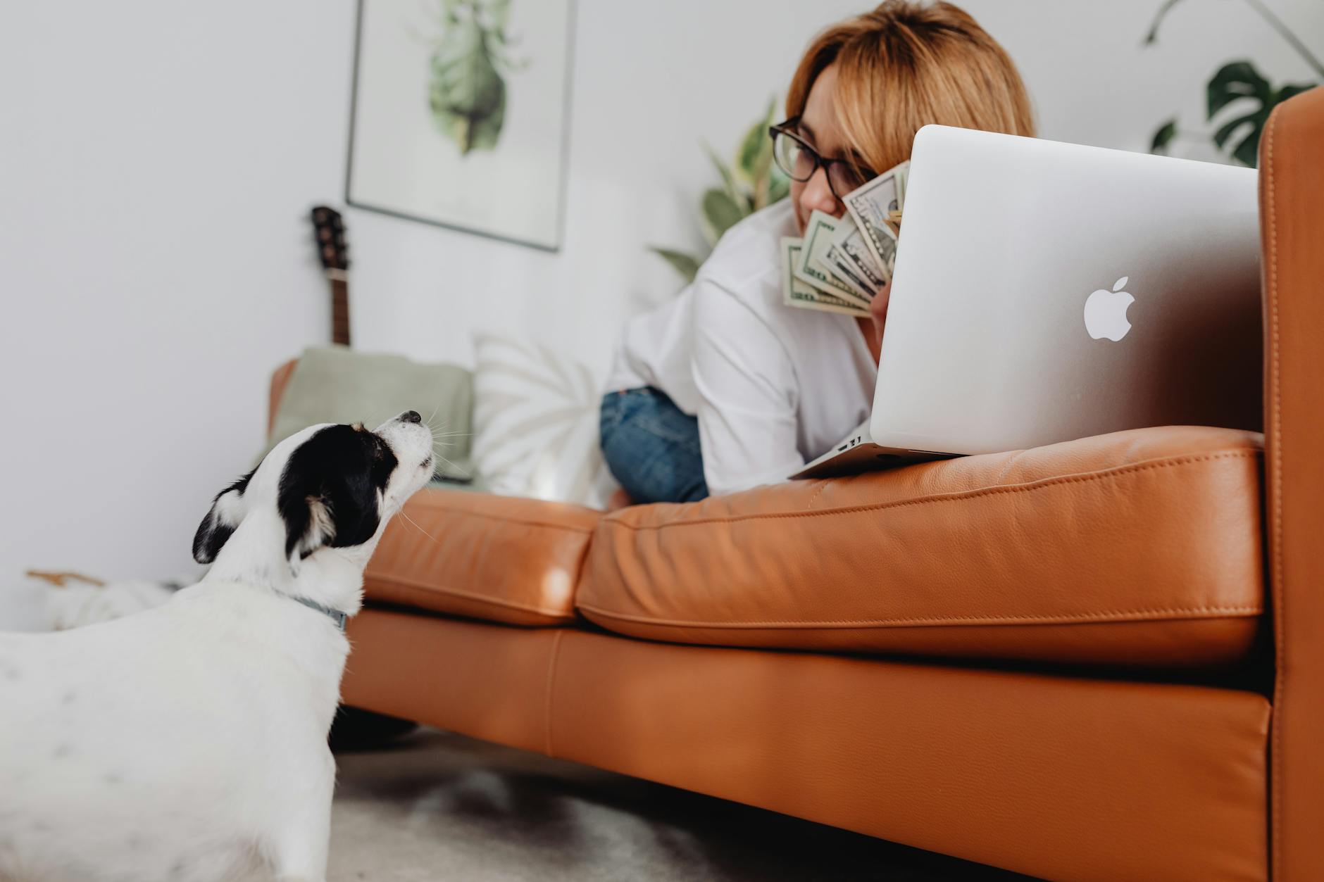 dog Here are a few options, depending on the focus you want to convey:
* **Balanced dog food nutrients**
* **Dog's needs: balanced diet**
